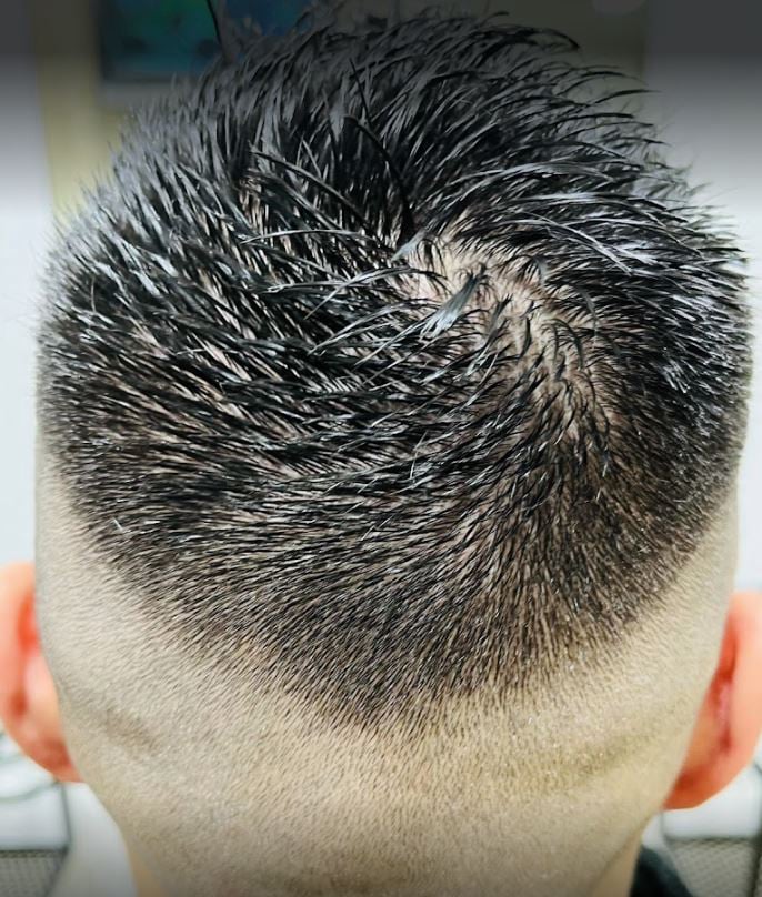 Backstage Costa Perruquer